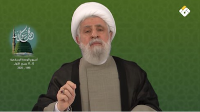 قناة باب المندب الرقمية: الأمين العام لحزب الله يؤكد أن خيار الصمود هو السبيل الوحيد لإسقاط مخططات العدو