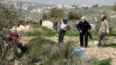 أصيب 5 مواطنين فلسطينيين، مساء اليوم الجمعة، في هجومين منفصلين لمستوطنين صهيانة على الفلسطينيين شمال شرق رام الله وغرب بيت لحم في الضفة الغربية بفلسطين المحتلة. وذكرت وكالة الأنباء الفلسطينية “وفا”، أن ثلاثة مواطنين أصيبوا، خلال التصدي لاقتحام المستوطنين قرية المغير شمال شرق رام الله. ونقلت عن مصادر محلية، بأن أحد المواطنين أصيب برصاص حي أطلقه جنود العدو الإسرائيلي الذين كانوا يعملون على تأمين الحماية لمجموعة من المستوطنين، أثناء اقتحام المنطقة الغربية من قرية المغير، بهدف سرقة المواشي. وذكرت المصادر أن المستوطنين أطلقوا الرصاص على الأغنام فأصابوا رأسين بعد أن أفشلت هبّة مواطني المغير محاولة السرقة. وفي تطور لاحق، جدد المستوطنون هجومهم على منازل المواطنين الفلسطينيين في منطقة القاطع بالقرية ذاتها بحماية قوات العدو، وسط إطلاق كثيف للرصاص الحي. وقالت جمعية الهلال الأحمر الفلسطيني إن طواقمها تعاملت مع 3 إصابات، واحدة بالرصاص الحي واثنتان بالضرب المبرح من قبل المستوطنين خلال هجومهم على المغير. وأضافت أن المستوطنين وقوات العدو عرقلوا وصول طواقم الإسعاف إلى المصابين. في سياق متصل، أصيب مواطن فلسطيني ونجله من بلدة الخضر جنوب بيت لحم، برضوض وجروح، مساء اليوم، إثر اعتداء مستوطنين صهاينة عليهم في قرية حوسان غرب بيت لحم. ونقلت وكالة “وفا” عن المواطن رائد خليل جودة (45 عاما)، أن مستوطنين هاجموه وأفراد عائلته أثناء تواجدهم في أرضهم بمنطقة “الشعب”، في حوسان، واعتدوا عليهم بأعقاب المسدسات والبنادق، ما أدى إلى إصابته ونجله محمود (24 عاما)، برضوض وجروح.