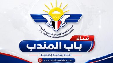 شعار الهيئة العامة للطيران المدني والأرصاد