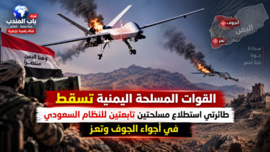 قناة باب المندب | القوات المسلحة اليمنية تسقط طائرتي استطلاع مسلحتين تابعتين للنظام السعودي في أجواء الجوف وتعز