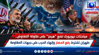 قناة باب المندب الرقمية: مباحثات نيويورك تضع "هرمز" على طاولة التفاوض.. طهران تشترط رفع الحصار وإنهاء الحرب على جبهات المقاومة