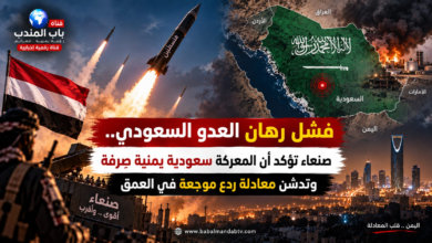 قناة باب المندب الرقمية: فشل رهان العدو السعودي.. صنعاء تؤكد أن المعركة سعودية يمنية صِرفة وتدشن معادلة ردع موجعة في العمق