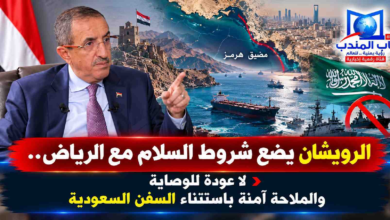 قناة باب المندب الرقمية: الرويشان يضع شروط السلام مع الرياض.. لا عودة للوصاية والملاحة آمنة باستثناء السفن السعودية