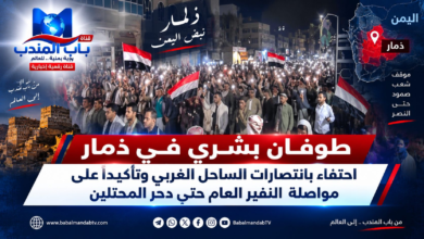 قناة باب المندب الرقمية: طوفان بشري في ذمار احتفاءً بانتصارات الساحل الغربي وتأكيداً على مواصلة النفير العام حتى دحر المحتلين
