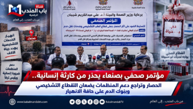 قناة باب المندب الرقمية: مؤتمر صحفي بصنعاء يحذر من كارثة إنسانية.. الحصار وتراجع دعم المنظمات يضعان القطاع التشخيصي وبنوك الدم على حافة الانهيار