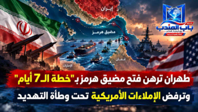 قناة باب المندب الرقمية: طهران ترهن فتح مضيق هرمز بـ "خطة الـ 7 أيام" وترفض الإملاءات الأمريكية تحت وطأة التهديد