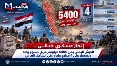 قناة باب المندب الرقمية: إنجاز عسكري خيالي.. الجيش اليمني يحرر 5400 كيلومتر مربع بأسبوع واحد ويسيطر على 4 مدارج طيران في الساحل الغربي