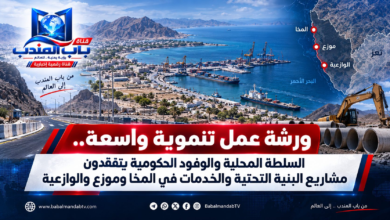 قناة باب المندب الرقمية: ورشة عمل تنموية واسعة.. السلطة المحلية والوفود الحكومية يتفقدون مشاريع البنية التحتية والخدمات في المخا وموزع والوازعية