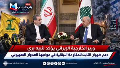 قناة باب المندب الرقمية: وزير الخارجية الإيراني يؤكد لنبيه بري دعم طهران الثابت للمقاومة اللبنانية في مواجهة العدوان الصهيوني