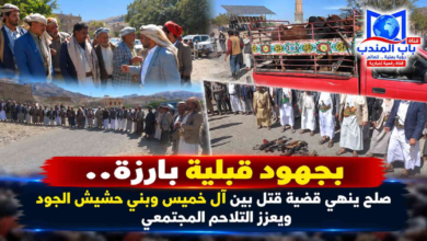 قناة باب المندب الرقمية: بجهود قبلية بارزة.. صلح ينهي قضية قتل بين آل خميس وبني حشيش الجود ويعزز التلاحم المجتمعي