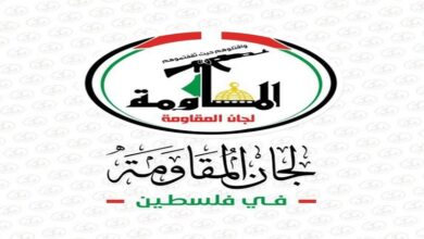 قناة باب المندب الرقمية: لجان المقاومة: التحاق طلبة غزة بمدارسهم صفعة لمخططات العدو ورسالة صمود تفشل حرب إبادة التعليم