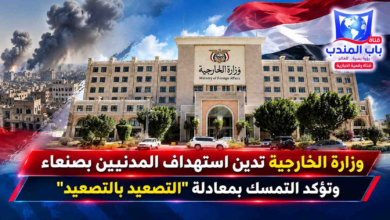 قناة باب المندب الرقمية: وزارة الخارجية تدين استهداف المدنيين بصنعاء وتؤكد التمسك بمعادلة "التصعيد بالتصعيد"