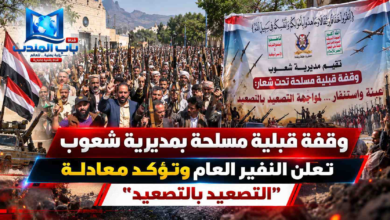 قناة باب المندب الرقمية: وقفة قبلية مسلحة بمديرية شعوب تعلن النفير العام وتؤكد معادلة "التصعيد بالتصعيد"