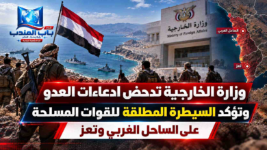 قناة باب المندب الرقمية: وزارة الخارجية تدحض ادعاءات العدو وتؤكد السيطرة المطلقة للقوات المسلحة على الساحل الغربي وتعز