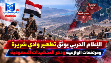 قناة باب المندب الرقمية: الإعلام الحربي يوثق تطهير وادي شريرة ومرتفعات الوازعية ودحر التحشيدات السعودية