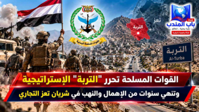 قناة باب المندب الرقمية: القوات المسلحة تحرر "التربة" الاستراتيجية وتنهي سنوات من الإهمال والنهب في شريان تعز التجاري