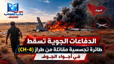 قناة باب المندب الرقمية: الدفاعات الجوية تسقط طائرة تجسسية مقاتلة من طراز (CH-4) في أجواء الجوف