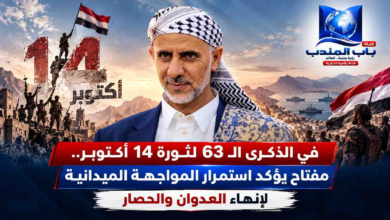 قناة باب المندب الرقمية: عمليات هجومية يمنية تضرب مطار الرياض وقاعدة خميس مشيط وتشل الملاحة الجوية